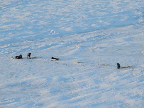 Setting nets for egg fish on the Arctic Red River