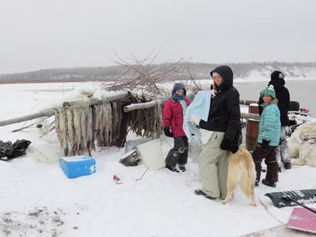 Down at the beach prior to freeze up, checking out the dog food